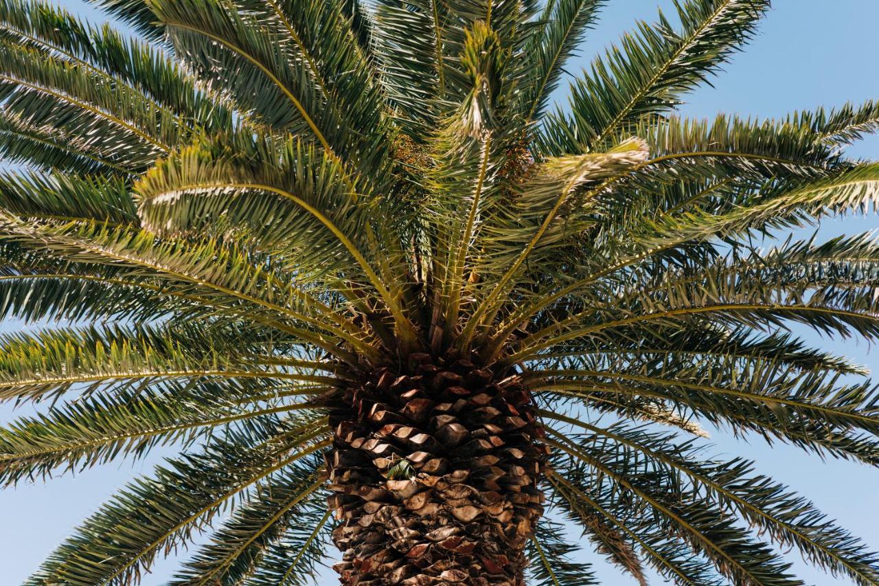 La Palmera - Fabulosa Casa, Lanzarote, Playa Honda 宏达海滩 外观 照片